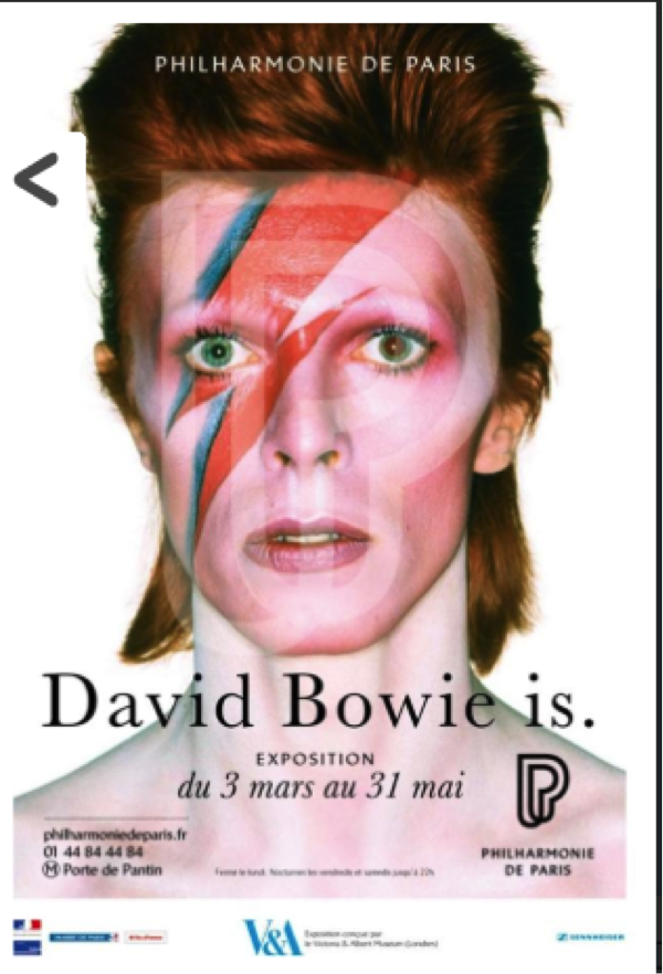 bowie is